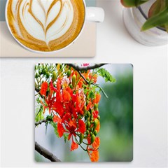 Gathering Sping Flowers Wallpapers Uv Print Square Tile Coaster  by artworkshop