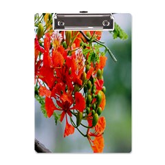 Gathering Sping Flowers Wallpapers A5 Acrylic Clipboard by artworkshop