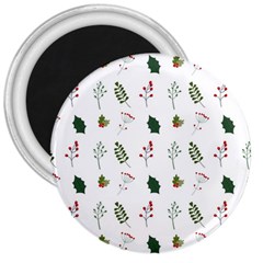 Leaves Mistletoe Plants Winter 3  Magnets by Ravend