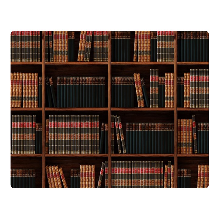 Books Bookshelf Bookcase Library Premium Plush Fleece Blanket (Large)