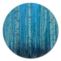 Forest Birch Nature Autumn Masuria Magnet 5  (round)