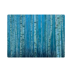 Forest Birch Nature Autumn Masuria One Side Premium Plush Fleece Blanket (mini)