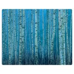 Forest Birch Nature Autumn Masuria One Side Premium Plush Fleece Blanket (Medium) 60 x50  Blanket Front