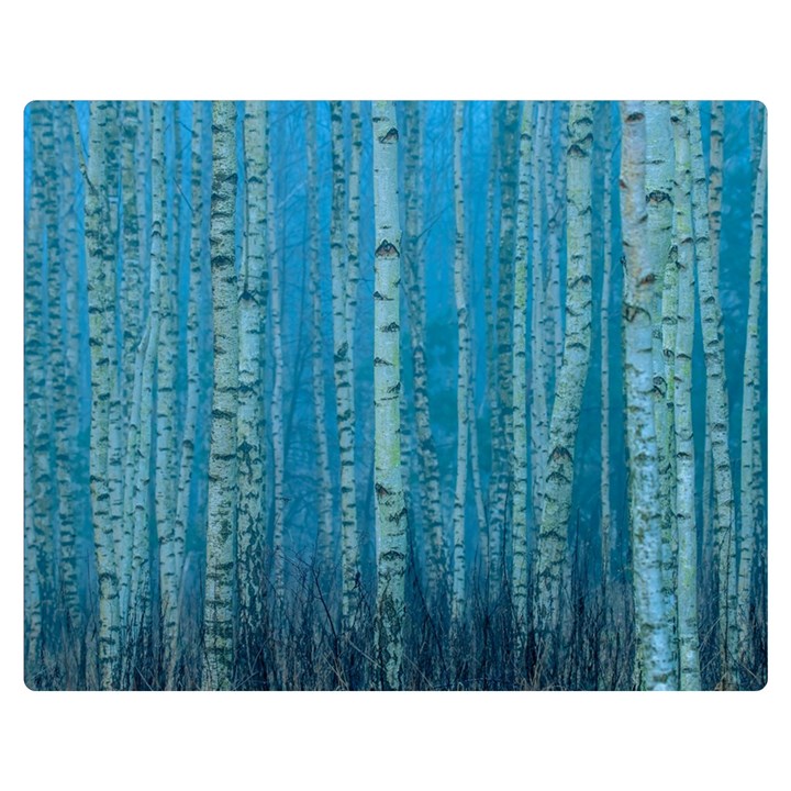 Forest Birch Nature Autumn Masuria One Side Premium Plush Fleece Blanket (Medium)