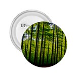 Green Forest Jungle Trees Nature Sunny 2.25  Buttons Front