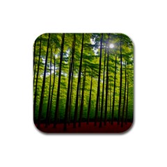 Green Forest Jungle Trees Nature Sunny Rubber Square Coaster (4 Pack) by Ravend