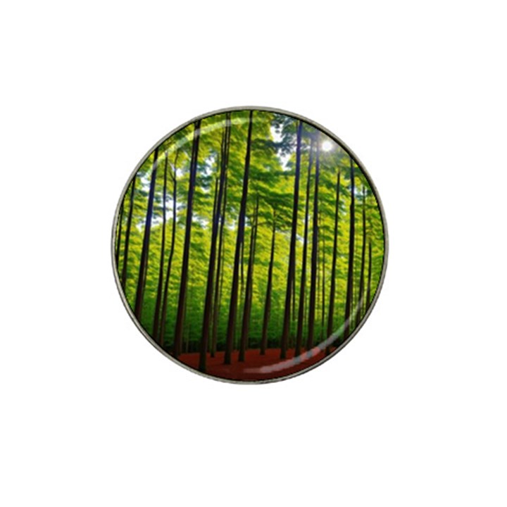 Green Forest Jungle Trees Nature Sunny Hat Clip Ball Marker (4 pack)