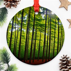 Green Forest Jungle Trees Nature Sunny Round Ornament (two Sides) by Ravend