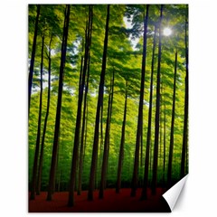 Green Forest Jungle Trees Nature Sunny Canvas 18  X 24  by Ravend