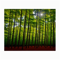 Green Forest Jungle Trees Nature Sunny Small Glasses Cloth (2 Sides) by Ravend