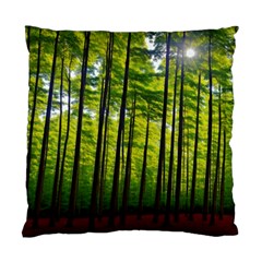 Green Forest Jungle Trees Nature Sunny Standard Cushion Case (two Sides) by Ravend