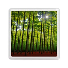 Green Forest Jungle Trees Nature Sunny Memory Card Reader (square) by Ravend