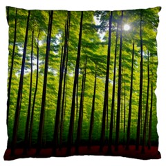 Green Forest Jungle Trees Nature Sunny Standard Premium Plush Fleece Cushion Case (two Sides) by Ravend