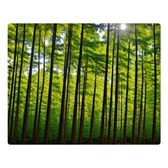 Green Forest Jungle Trees Nature Sunny Premium Plush Fleece Blanket (large) by Ravend