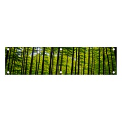 Green Forest Jungle Trees Nature Sunny Banner And Sign 4  X 1  by Ravend