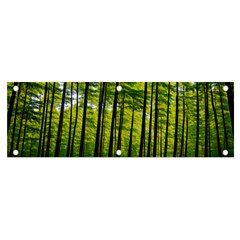 Green Forest Jungle Trees Nature Sunny Banner And Sign 6  X 2  by Ravend