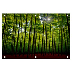 Green Forest Jungle Trees Nature Sunny Banner And Sign 6  X 4  by Ravend