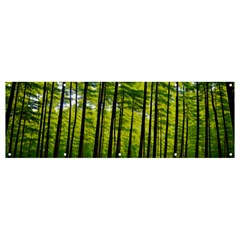 Green Forest Jungle Trees Nature Sunny Banner And Sign 12  X 4  by Ravend