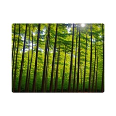 Green Forest Jungle Trees Nature Sunny One Side Premium Plush Fleece Blanket (mini) by Ravend