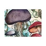 Shroom Magic Mushroom Charm One Side Premium Plush Fleece Blanket (Mini) 35 x27  Blanket Front