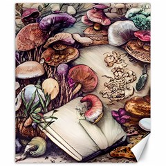 Toadstools And Charms For Necromancy And Conjuration Canvas 20  X 24  by GardenOfOphir