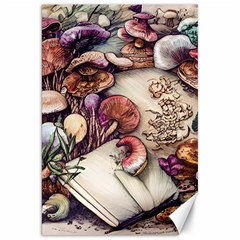 Toadstools And Charms For Necromancy And Conjuration Canvas 20  X 30  by GardenOfOphir