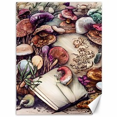 Toadstools And Charms For Necromancy And Conjuration Canvas 36  X 48  by GardenOfOphir