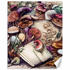 Toadstools And Charms For Necromancy And Conjuration Canvas 11  X 14  by GardenOfOphir