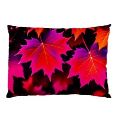 Leaves Purple Autumn Evening Sun Abstract Pillow Case by Ravend