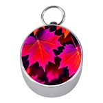 Leaves Purple Autumn Evening Sun Abstract Mini Silver Compasses Front