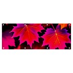 Leaves Purple Autumn Evening Sun Abstract Banner and Sign 8  x 3  Front