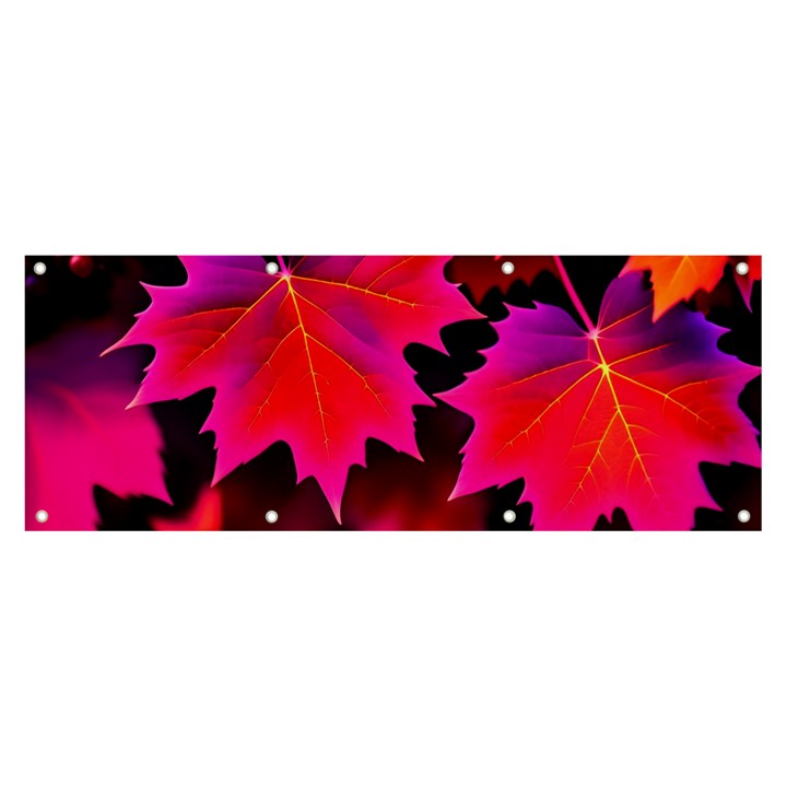 Leaves Purple Autumn Evening Sun Abstract Banner and Sign 8  x 3 