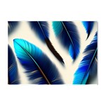 Feathers Pattern Design Blue Jay Texture Colors Crystal Sticker (A4) Front