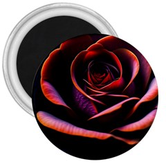 Purple Flower Rose Flower Black Background 3  Magnets by Ravend