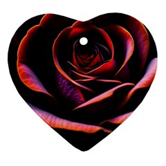 Purple Flower Rose Flower Black Background Ornament (heart) by Ravend