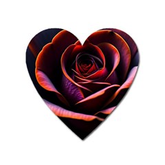 Purple Flower Rose Flower Black Background Heart Magnet by Ravend