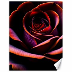 Purple Flower Rose Flower Black Background Canvas 18  X 24  by Ravend