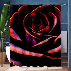 Purple Flower Rose Flower Black Background Shower Curtain 60  X 72  (medium)  by Ravend