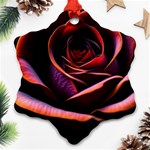 Purple Flower Rose Flower Black Background Snowflake Ornament (Two Sides) Front