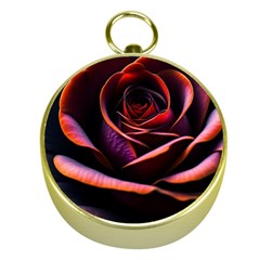 Purple Flower Rose Flower Black Background Gold Compasses by Ravend