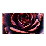 Purple Flower Rose Flower Black Background Satin Wrap 35  x 70  Front