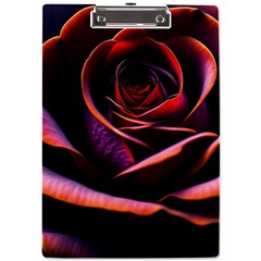 Purple Flower Rose Flower Black Background A4 Acrylic Clipboard by Ravend