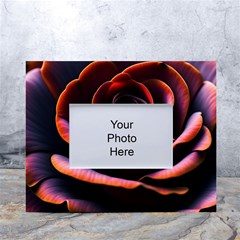 Purple Flower Rose Flower Black Background White Tabletop Photo Frame 4 x6 