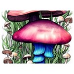 Necromancy Toadstool Premium Plush Fleece Blanket (Extra Small) 40 x30  Blanket Front