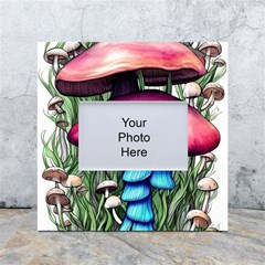 Necromancy Toadstool White Box Photo Frame 4  X 6 