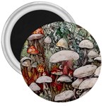 Magician s Toadstool 3  Magnets Front