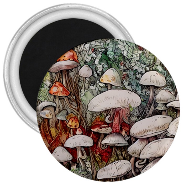 Magician s Toadstool 3  Magnets