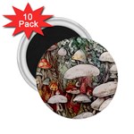 Magician s Toadstool 2.25  Magnets (10 pack)  Front