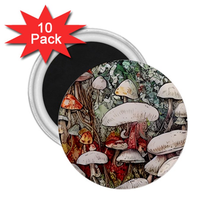 Magician s Toadstool 2.25  Magnets (10 pack) 