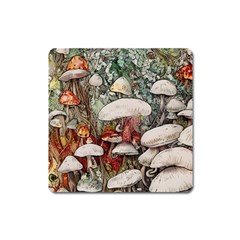 Magician s Toadstool Square Magnet by GardenOfOphir